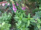 DSCF1244
