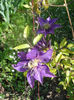DSCN6644