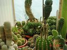DSC00958