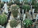 DSC00961