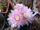 DSC00970
