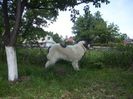 Picture 018