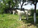 Picture 027