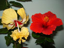 DSC07019