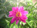 SANY0135