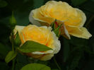 DSCN9067