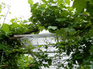 DSCN9129