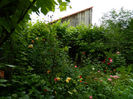 DSCN9133