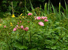 DSCN9175