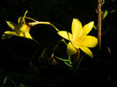 DSCN9264
