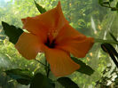 DSCN9282