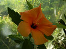 DSCN9283