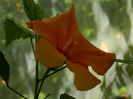 DSCN9301