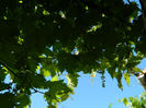 DSCN9303