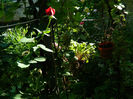 DSCN9306