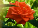 DSCN9308