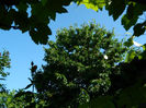 DSCN9321