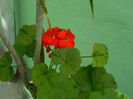 DSCN9333