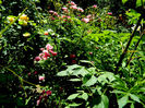 DSCN9347