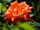 DSCN9361
