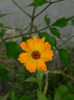 DSCN9408