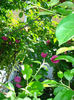 DSC06625