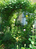 DSC06646