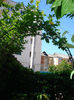 DSC06766