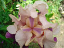 DSC06071
