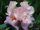 DSC06145