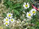 IMG_3960