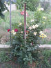 20130522_200458