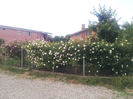 20130522_200055