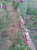 20130522_200238