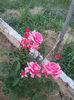 20130522_200312