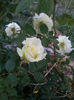 20130522_200327