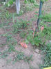 20130522_200336