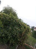 20130522_200407