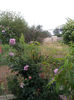20130522_200417