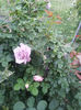 20130522_200429