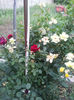 20130522_200449