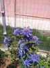 20130511_115257
