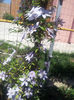 20130511_115339