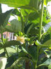 20130523_110459