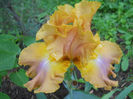 DSCN4938