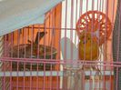 DSCN2652
