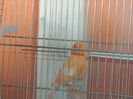 DSCN2653