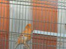 DSCN2654