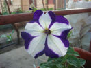 DSC05770