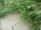 DSC05836